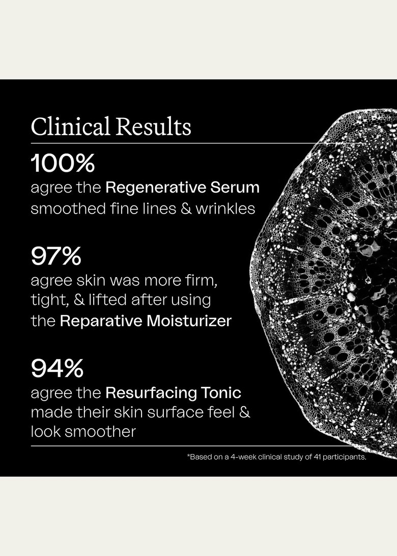 Second image of The Reparative Set