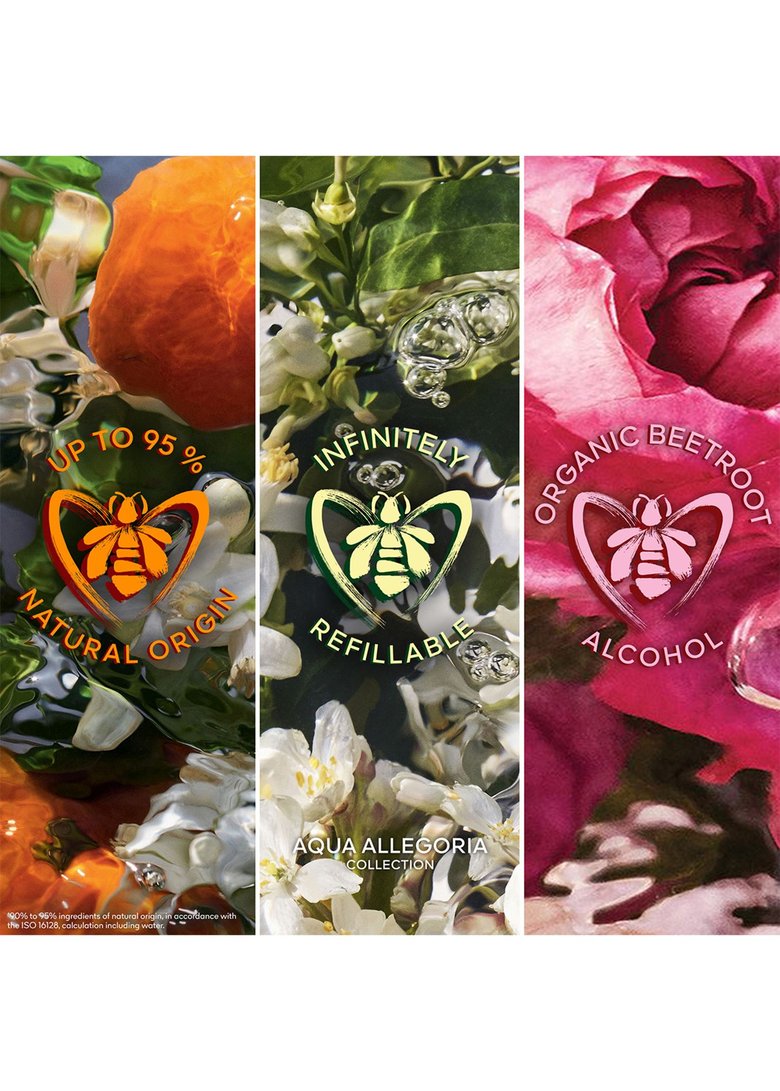 Second image of Aqua Allegoria Mandarine Basilic Forte Set