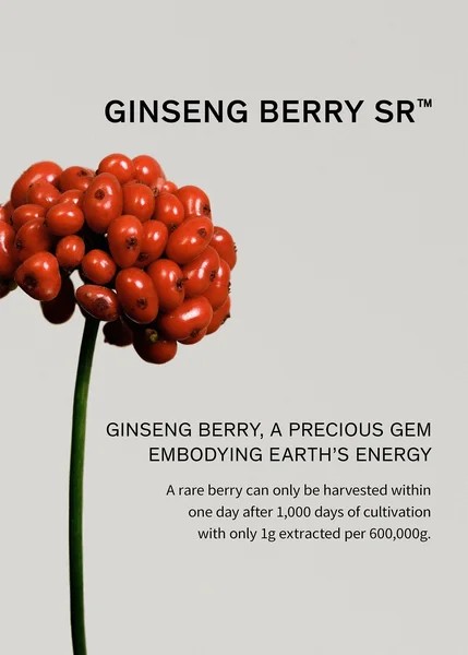 Second image of The Ultimate S Set